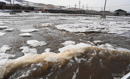 ШАР УСНЫ ҮЕРИЙН АЮУЛЫН ЗУРАГЛАЛААР НИЙТ НУТГИЙН 2.5 ХУВЬ НЬ МАШ ИХ АЮУЛЫН ЗЭРЭГЛЭЛТЭЙ БАЙНА